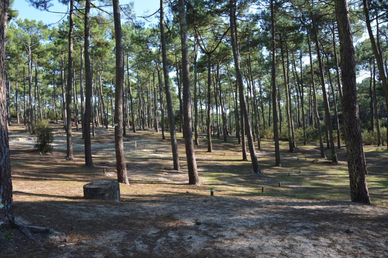 Wellness Sport Camping - La Dune Bleue Carcans Exterior foto
